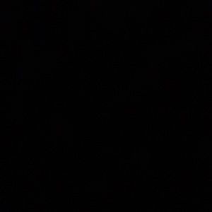 Meet your Posher, Allan